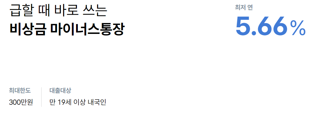 비상금 대출