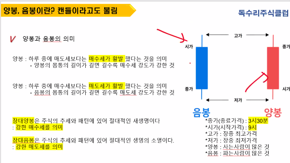 캔들