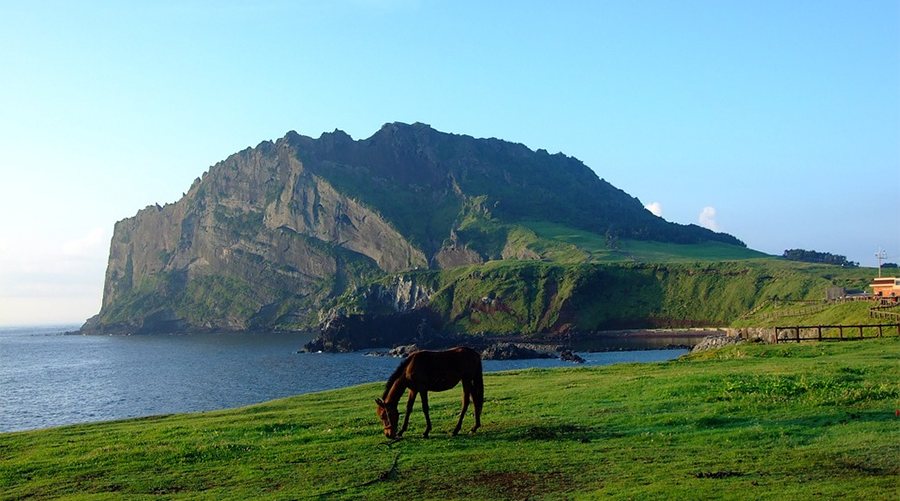 최저가 제주도 항공권 예매방법