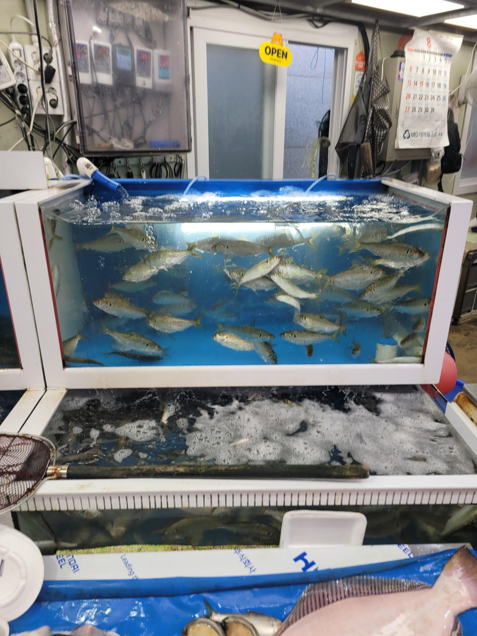 부안시장 돼지갈비 꽃게 갑오징어 구매