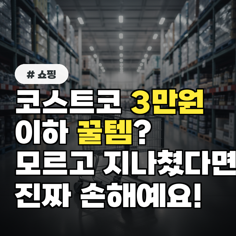 코스트코 3만원 이하 꿀템 이걸 모르고 지나쳤다면 손해입니다