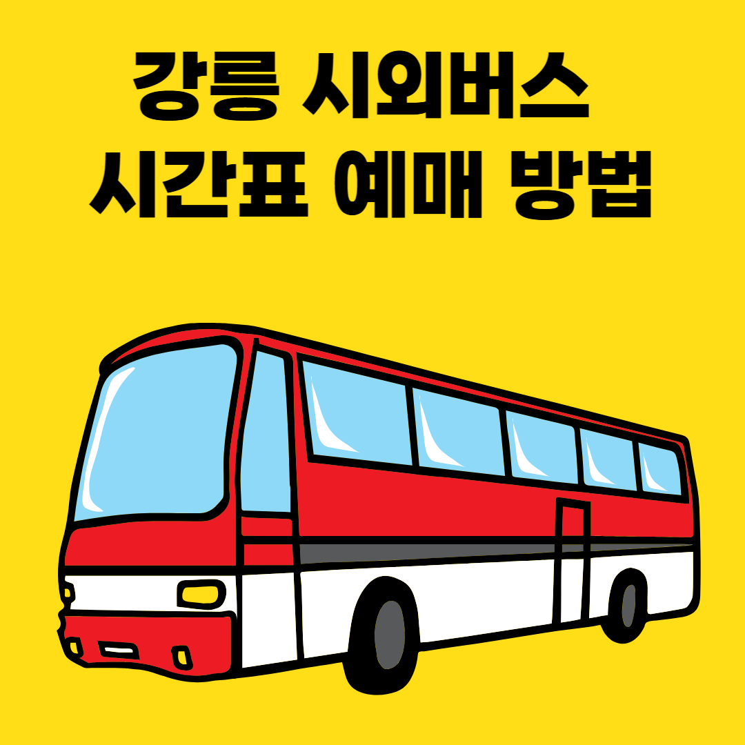 강릉 시외버스 시간표 예매 방법 썸네일