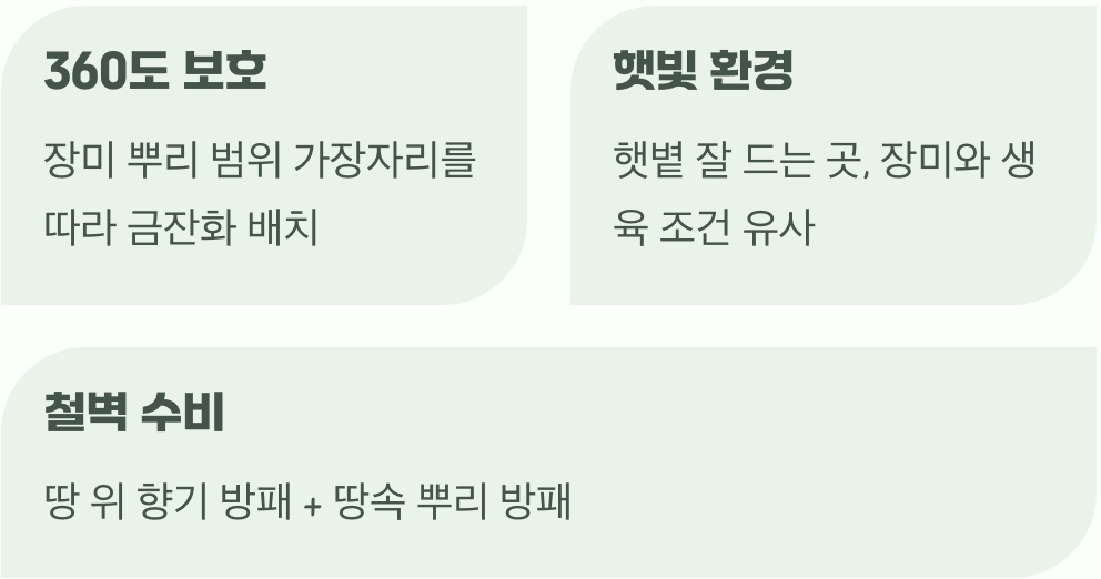 어떻게 심어야 효과적일까?