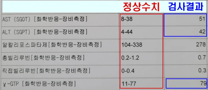 2023년-6월-간수치