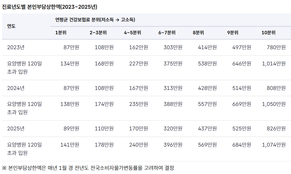 본인부담상한제