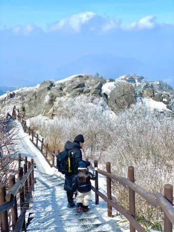 대구 겨울 가볼만한곳을 상세히 알아보기 여행 자료집_14