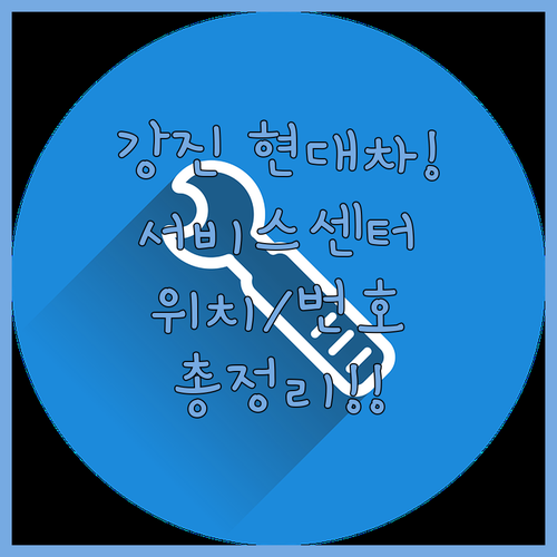 강진군 인근 현대자동차 서비스센터 지..