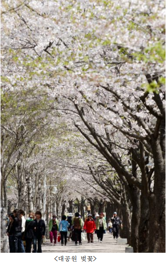 벚꽃명소