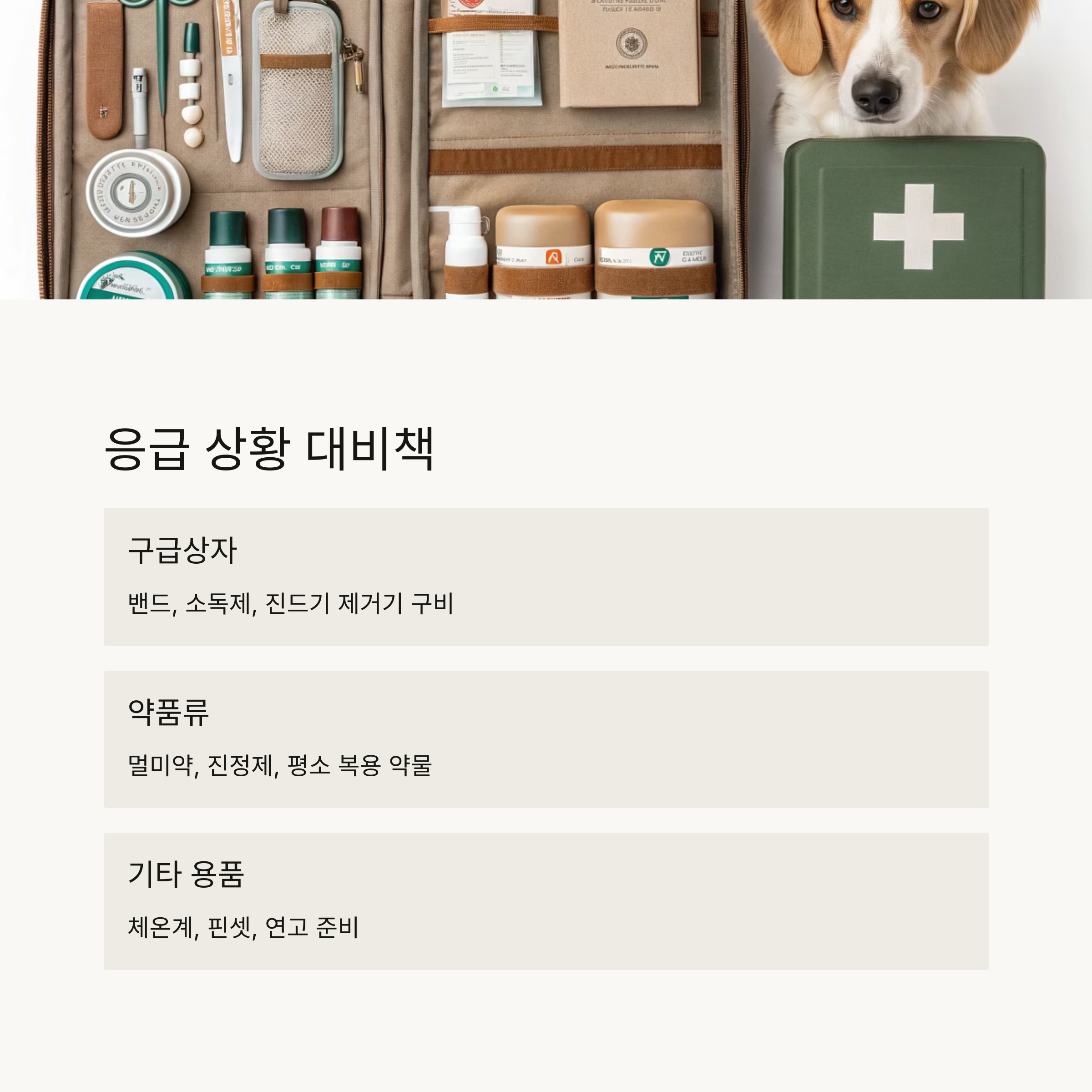 응급 상황 대비책