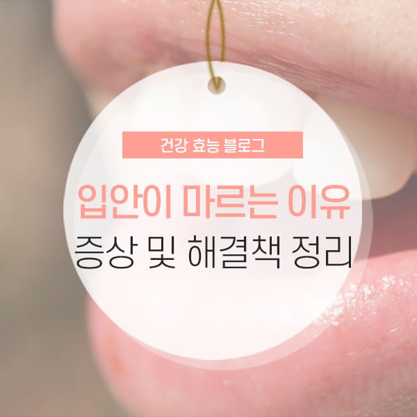 입안이 마르는 이유 입안이 마르는 이유 및 해결책 소개 콘텐츠