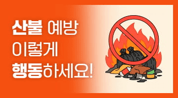 2025 강원도 민생회복 소비쿠폰 완벽 가이드 &amp;#124; 최대 55만원 지원금 총정리