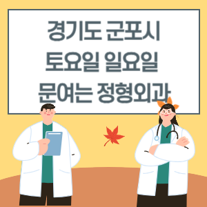 경기도 군포시 토요일 일요일 정형외과 진료 문여는 병원 리스트