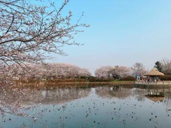 당진 가볼만한곳 베스트10 여행 당일치기 코스_18