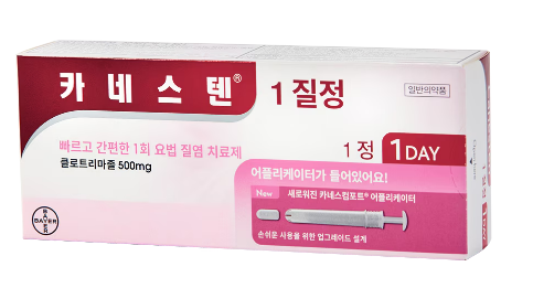 카네스텐 질정