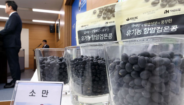 소만콩 효능 판매처 구매 주의사항 항암효과 충북 소만 검정콩 먹는법 총정리