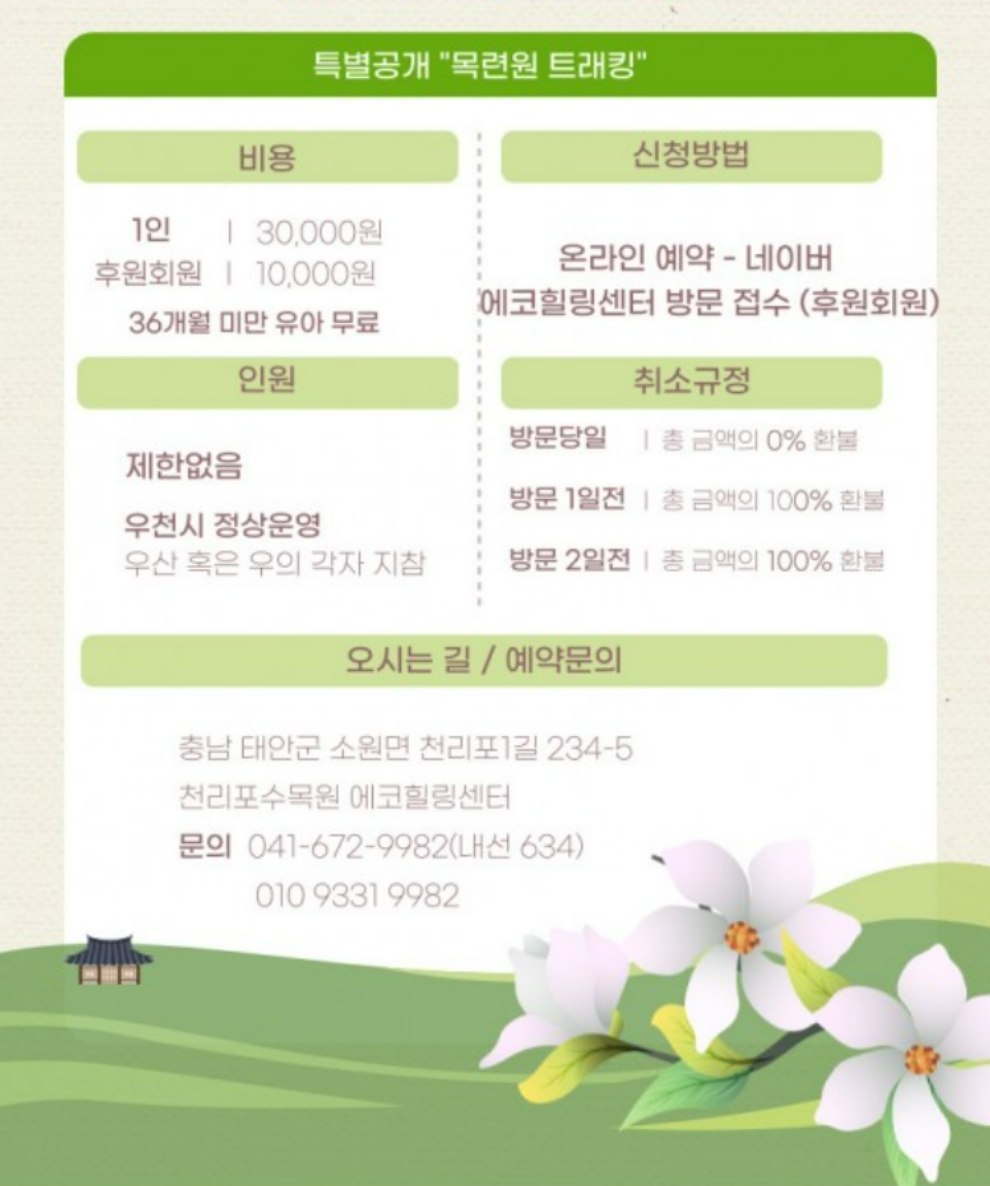 천리포수목원 목련축제