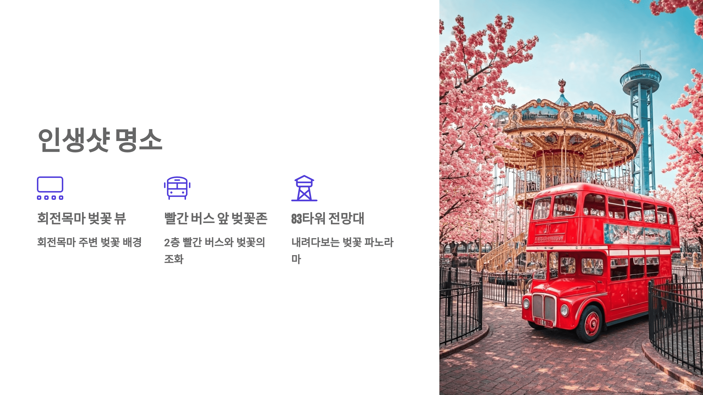 이월드 30주년 기념! 벚꽃 축제에서 만나는 특별한 봄날