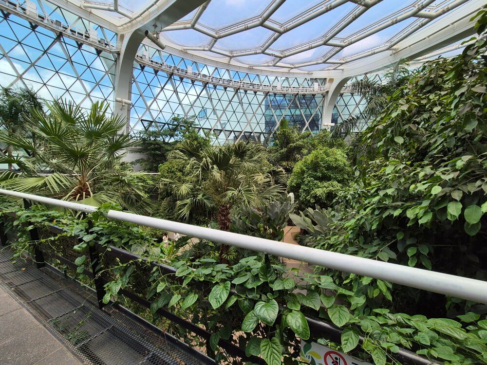 스카이워크 뷰 1