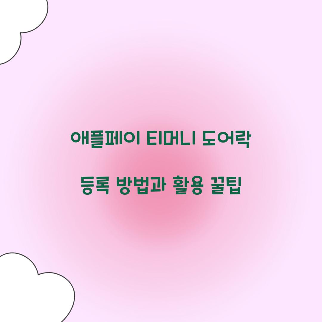 애플페이 티머니 도어락