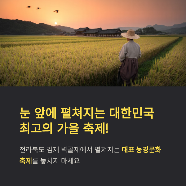 2025 김제지평선축제 완벽 가이드: 일정, 체험, 볼거리, 맛집, 토치 퍼레이드까지 한눈에!