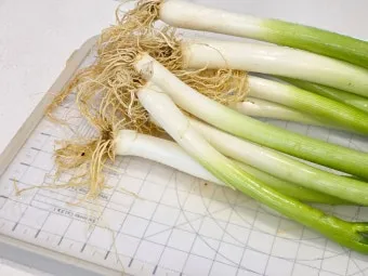 텃밭 대파 키우는 법 토양 북주기 웃거름 병해 예방_12