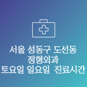 서울 성동구 도선동 주말 토요일 일요일 문여는 병원 진료시간