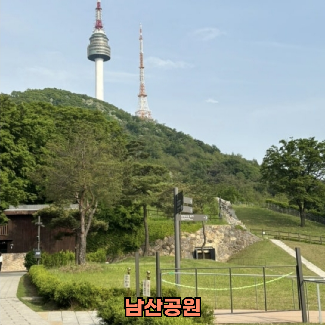 서울봄나들이핫플