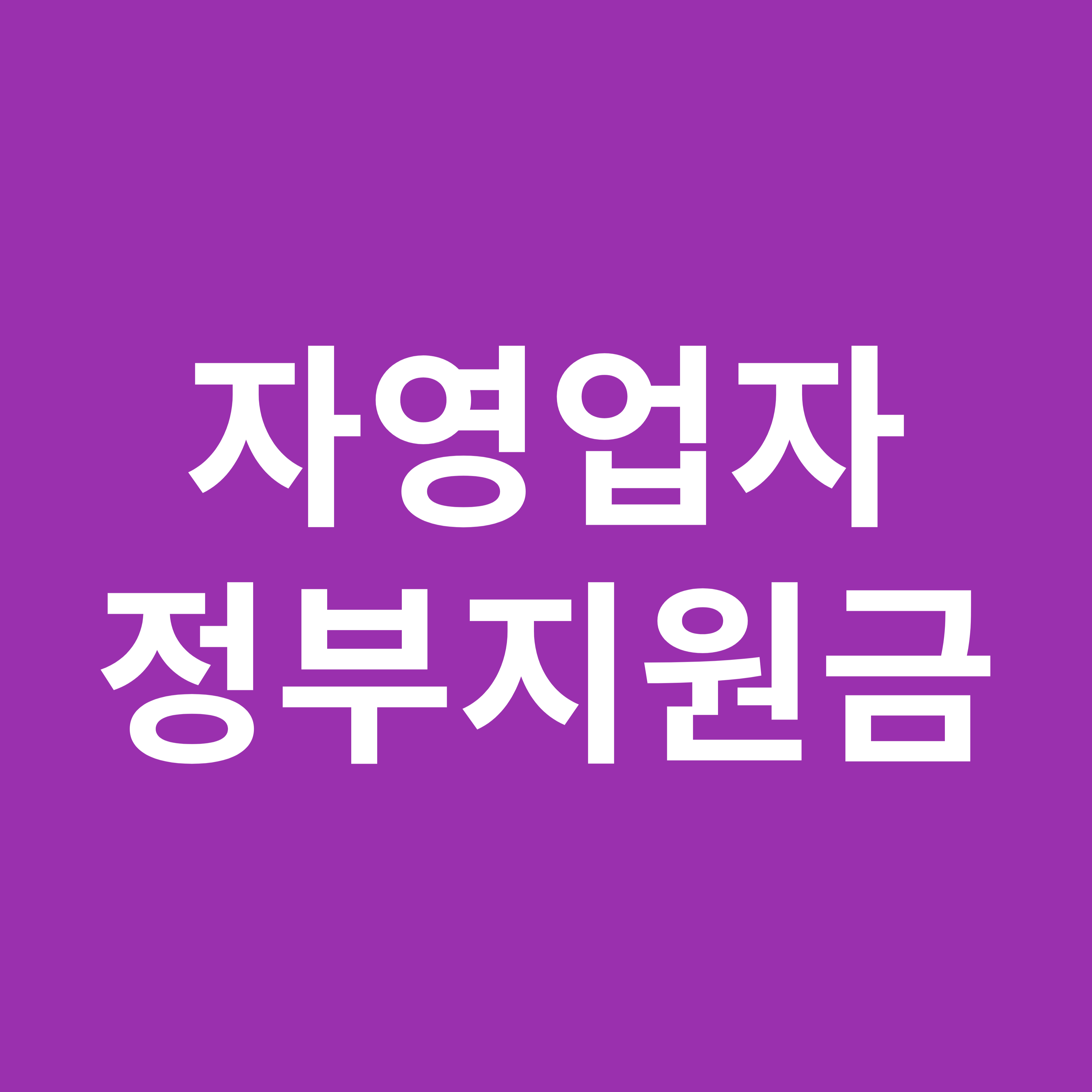 자영업자 정부지원금