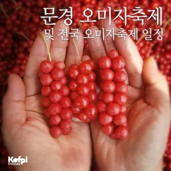 문경 오미자축제 2025 다섯 가지 맛으로 만나는 가을 정리_16