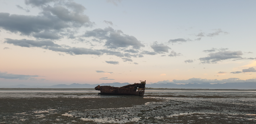 Janie Seddon Shipwreck.