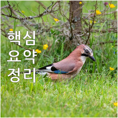 자동차 검사 기간 놓쳤다면? 합법 연..
