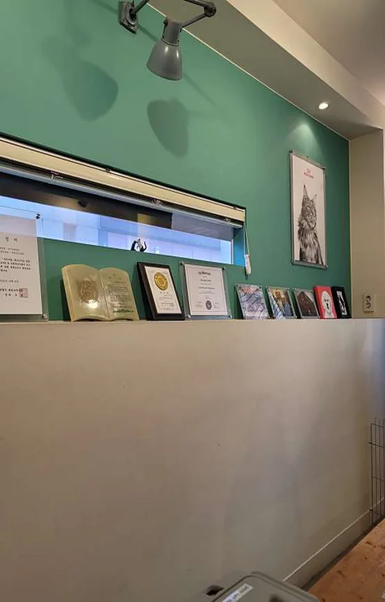 차이동물병원