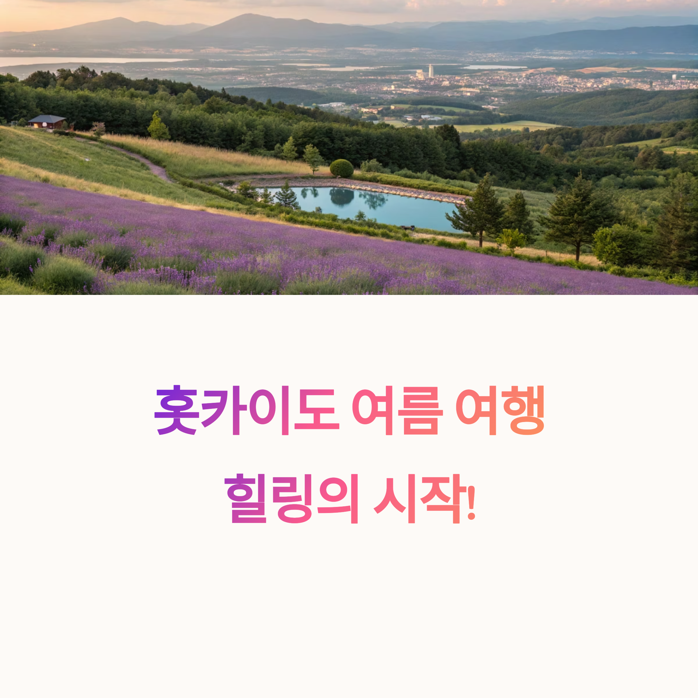 홋카이도 여름 루트 추천! 삿포로-후라노-비에이 꽃길 감성 여행