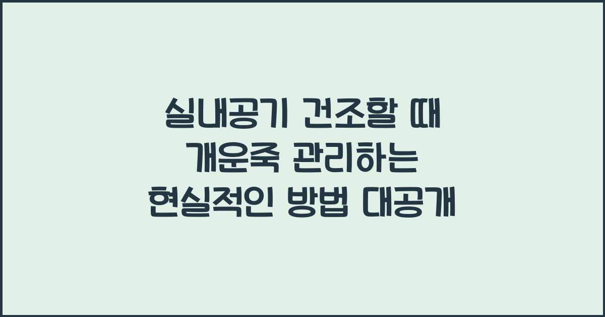 실내공기 건조할 때 개운죽 관리하는 현실적인 방법