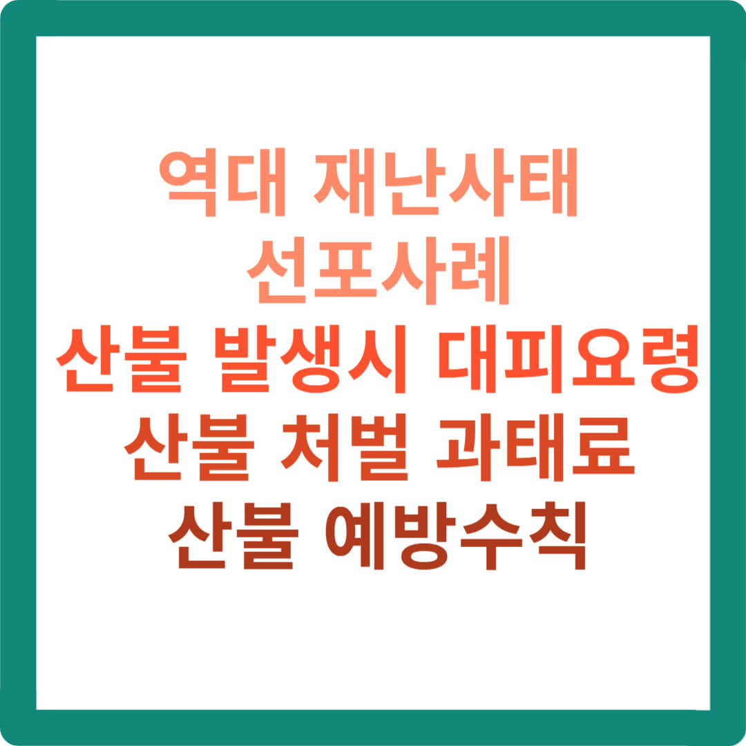 역대-재난사태-선포사례-산불-발생시-대피요령-산불처벌-과태료-예방수칙