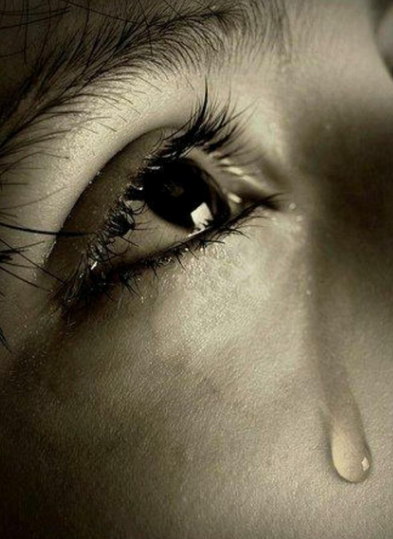 이해하지 못해도 감동할 수 있을까?