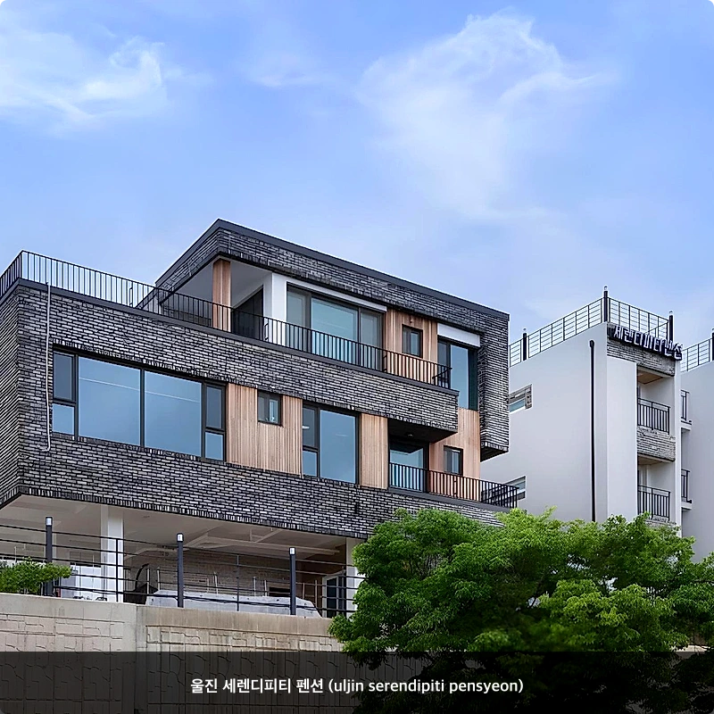 울진 세렌디피티 펜션 (uljin serendipiti pensyeon)_1