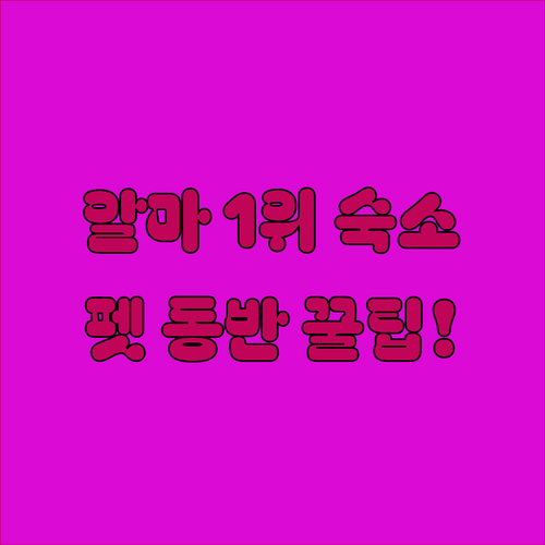 평점 높은 알마 인기 숙소 시설 사진..