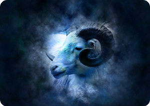 산수도인 12월 월간 별자리운세 오늘의운세 타로