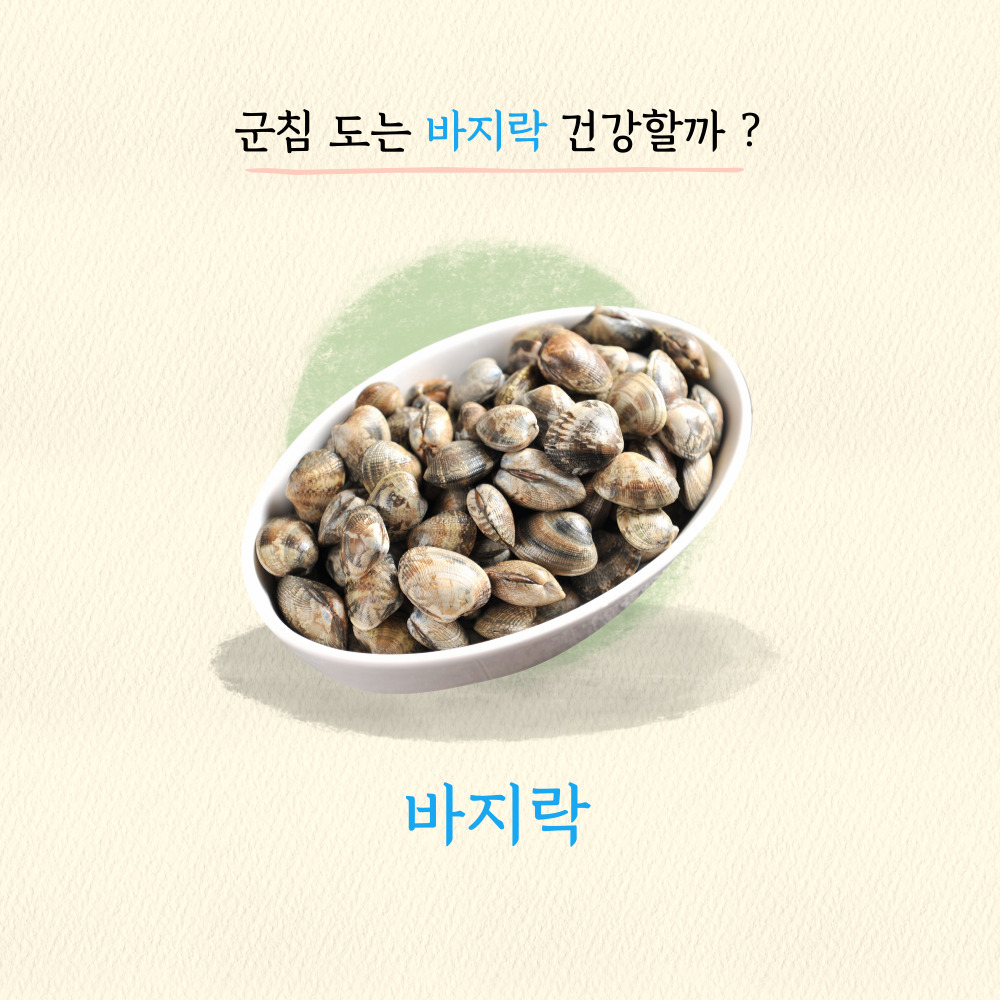바지락의효능