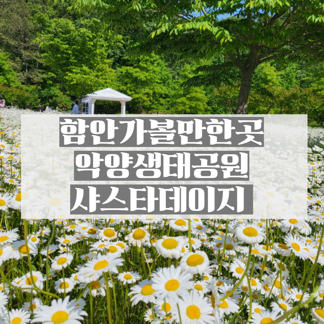 함안가볼만한곳 악양생태공원