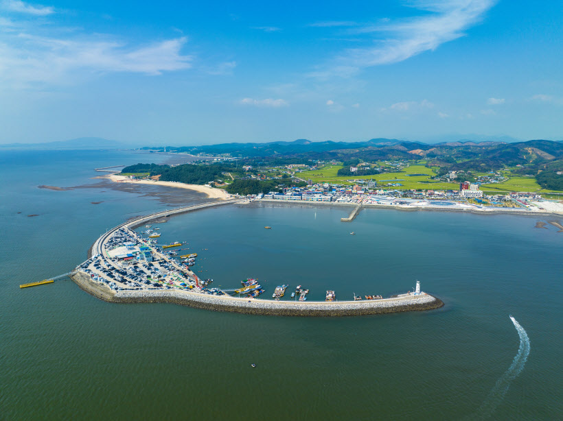 제29회홍성남당항대하축제