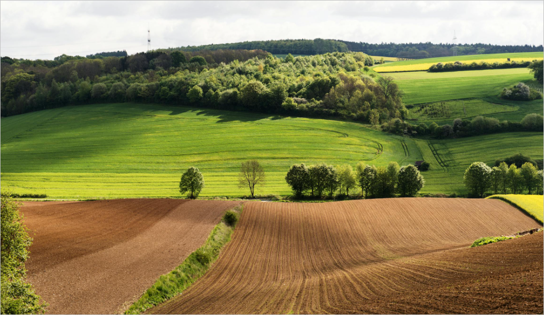 국토부 공시지가 조회 시스템 완벽 가이드