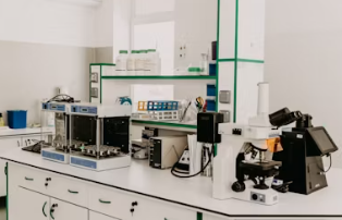 국민건강보험공단 edi