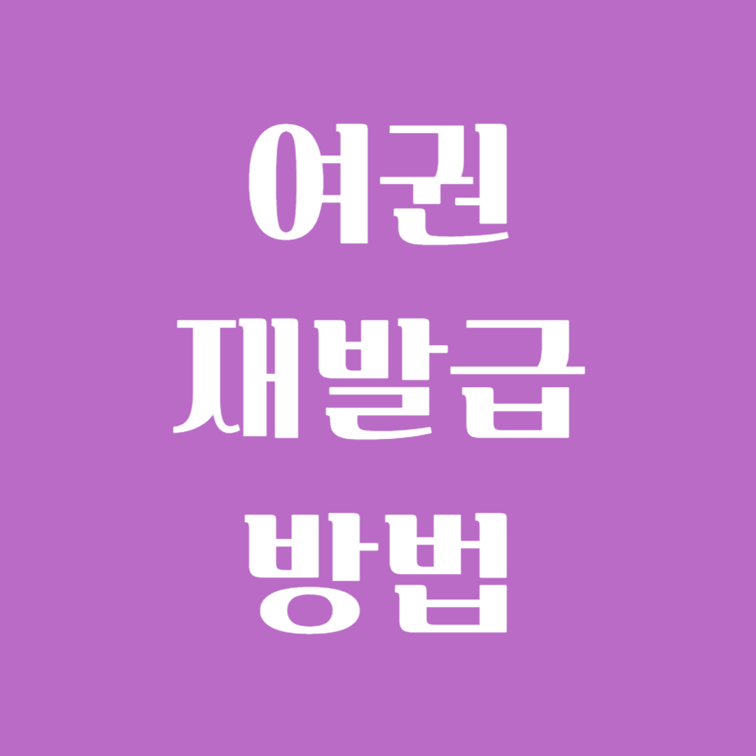 여권 재발급 신청 소요기간 준비물 어디서 온라인 비용 방법