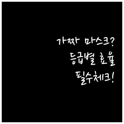 식약처 인증 보건용 마스크 확인법과 ..