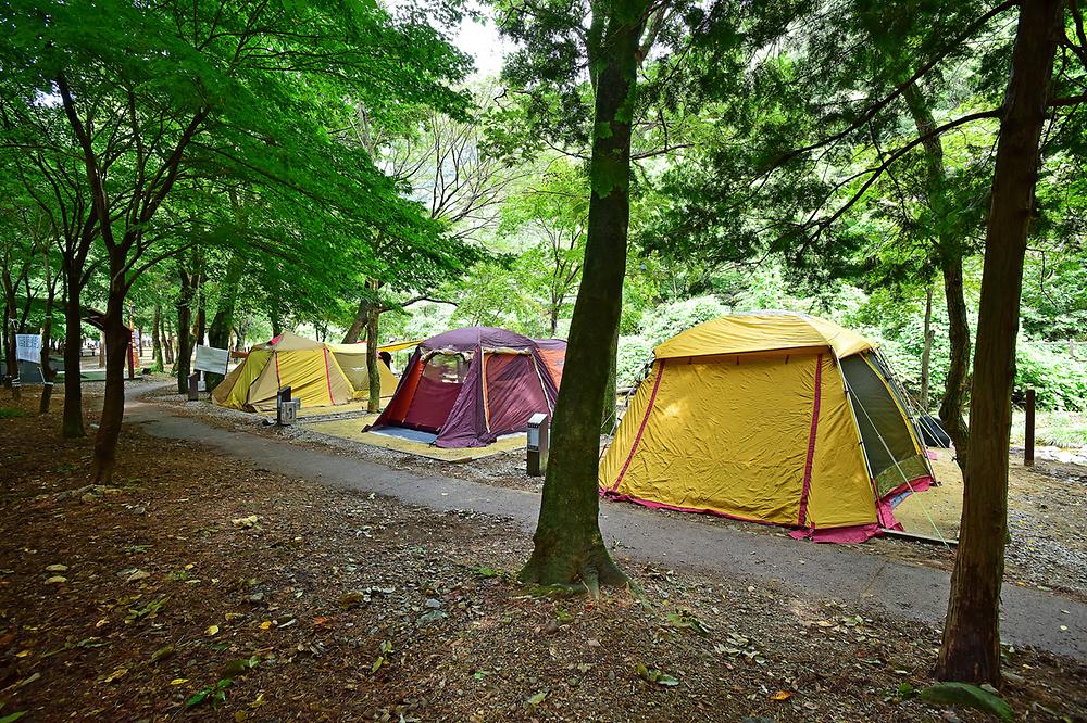 내장산 내장야영장. 전라북도 정읍시 내장동 내장산로 800(내장동 92-2)