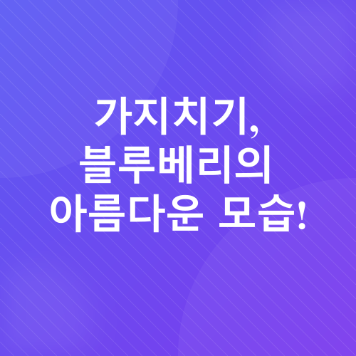 블루베리 화분 재배_6