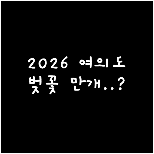 2026 영등포구 벚꽃 만개 시기 여..