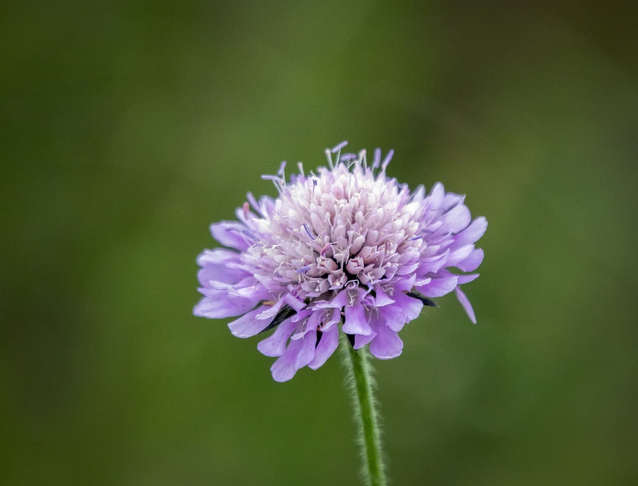 AI가 만든 작품의 저작권, 누구의 것일까?